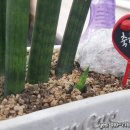 예스공인중개사사무소 이미지