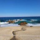 금남농협하나로마트 이미지