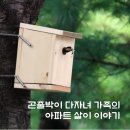 담빛시네콘서트 이미지