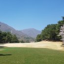 부산골프회원권거래소