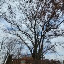 군자성황사지 이미지