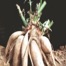 미현리농장 이미지