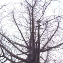 진섭농장 이미지