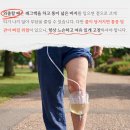PCN 티스토리
