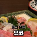 신정로L 이미지