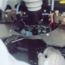 대한화공약품 이미지