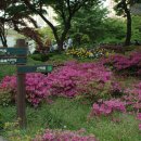 레미안3단지 이미지