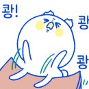 투어테일러 이미지