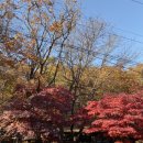 불곡산장 | 양주 진짜 숨은 맛집 불곡산장