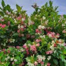 미경농장 이미지