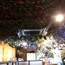 짝태앤드노가리 이미지