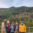 장태산휴양림 이미지