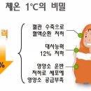 온열방
