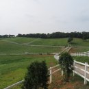 서정목장 이미지