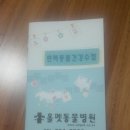 올펫 동물병원 이미지