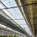 기곡농장 이미지