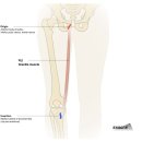 CM Fitness 이미지