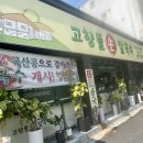뜰손칼국수 - 829 | 뜰손칼국수