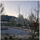 도로시하우스 이미지