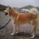 대용농장 이미지