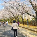 이마트24 두류이월드점 | 엄마랑 대구 여행 두류공원 벚꽃 나들이 주차장 및 명당 안내