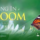 세이지우드 홍천산양목장 이미지