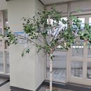 이의중학교 이미지