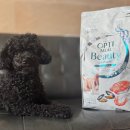 샤이니덴탈 이미지