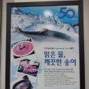 참샘송어 직판장 | [충북 대전근교 맛집 탐방] 옥천군 참샘 송어 직판장