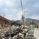 솔바람 들꽃향기 | 원주 성황림 맛집 들꽃이야기 불멍가능