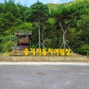 월악산국립공원 송계자동차야영장 | 충북 제천 캠핑장 추천 월악산 국립공원 송계 계곡 자동차 야영장에서 여자 혼자 가을캠핑