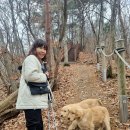 우리할매떡볶이전주혁신점 이미지