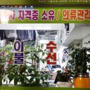 세탁일번가 이미지