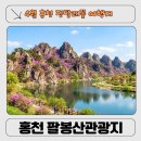 헌화가 | 홍천 여행 4월 진달래 명소 팔봉산 관광지 ㅣ 비발디파크 근처 가볼 만한 곳 직접 다녀온 후기