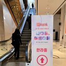 [제13회 이데일리 W페스타 서포터즈] W페스타 생생 현장 후기!!