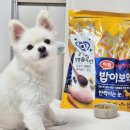 펫푸드팩토리 | 강아지 피부알러지 사료 고민 해결한 후기!