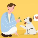 대흥동물병원 이미지