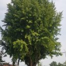 미사동로 40번길 이미지