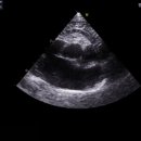 석촌호수동물병원 이미지