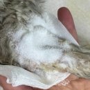 효창동물병원 이미지