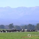 초지농산물