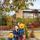 명이몽 네이버블로그
