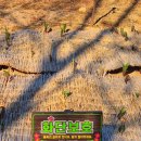 연지공원(타고가야) | 봄을 기다리는 연지공원에서 공영 전기자전거 '타고가야'