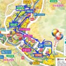 시목공원 | [2026 구례 산수유축제] 실시간 개화 상황 &amp; 주차 꿀팁, 당일치기 동선·기념품까지 총정리