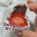 계룡농장 | 나름TV공구에서 주문한 딸기모찌, 집에서 직접 먹어본 후기