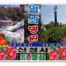 대동농약사 이미지