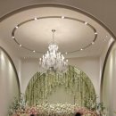 강남모던빌/강남프라자 | [빠른공유] 메종드아나하 견적 공유 - 27년 상반기 그랜드블룸홀 (상담 후기 식대 뷔페 주차)