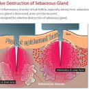 이진탁피부과의원 이미지