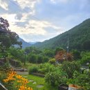 내린천펜션계곡사랑 | 강원도 인제 내린천펜션 계곡사랑 일상 하추리계곡 제초작업 및 계곡 상태 체크