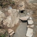 수한농장 이미지